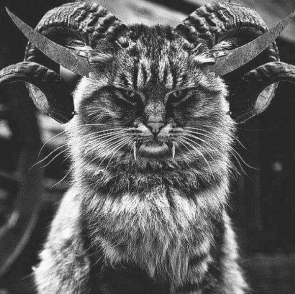 Meet your Posher, Jenn :-) - Picture 7 of 8